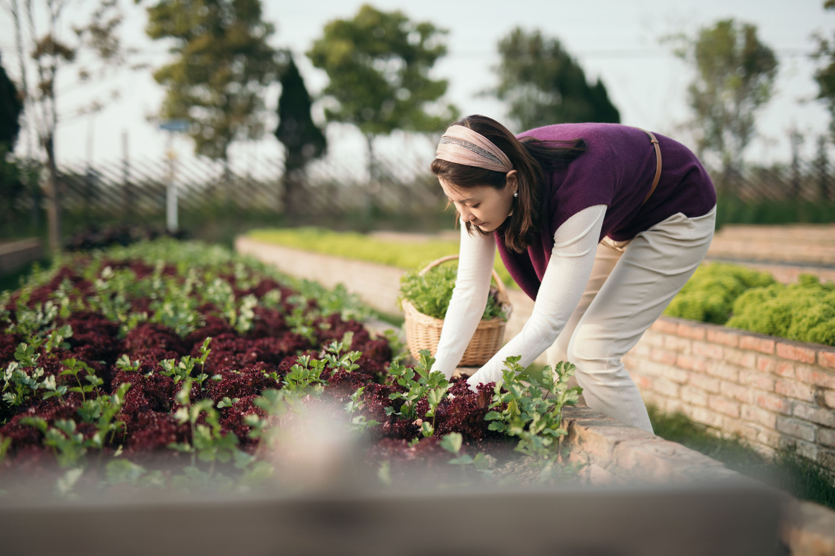 刘芳菲,央视最美女主持,人如其名清雅大气