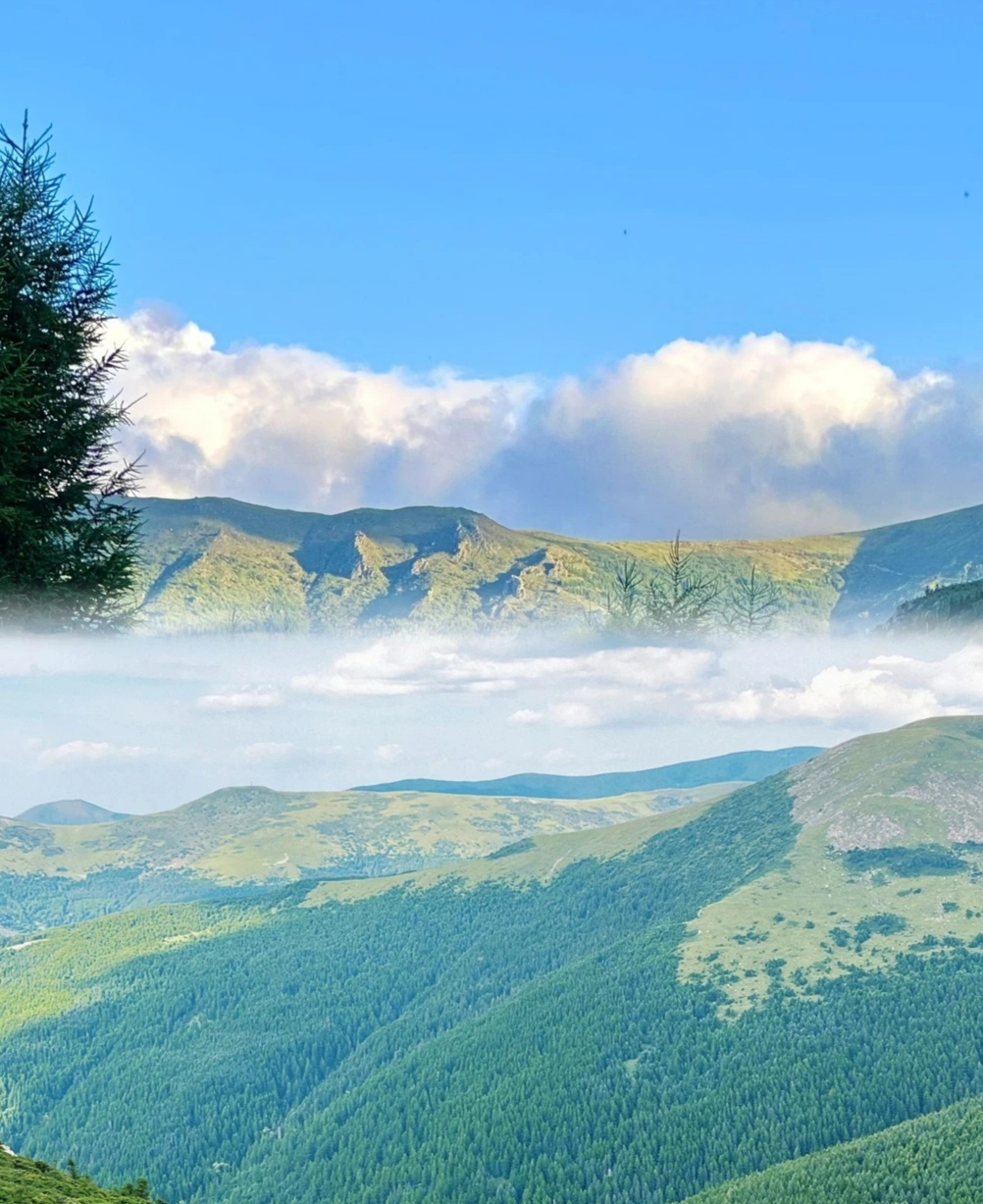 山西忻州东台顶:一座神秘而美丽的山峰