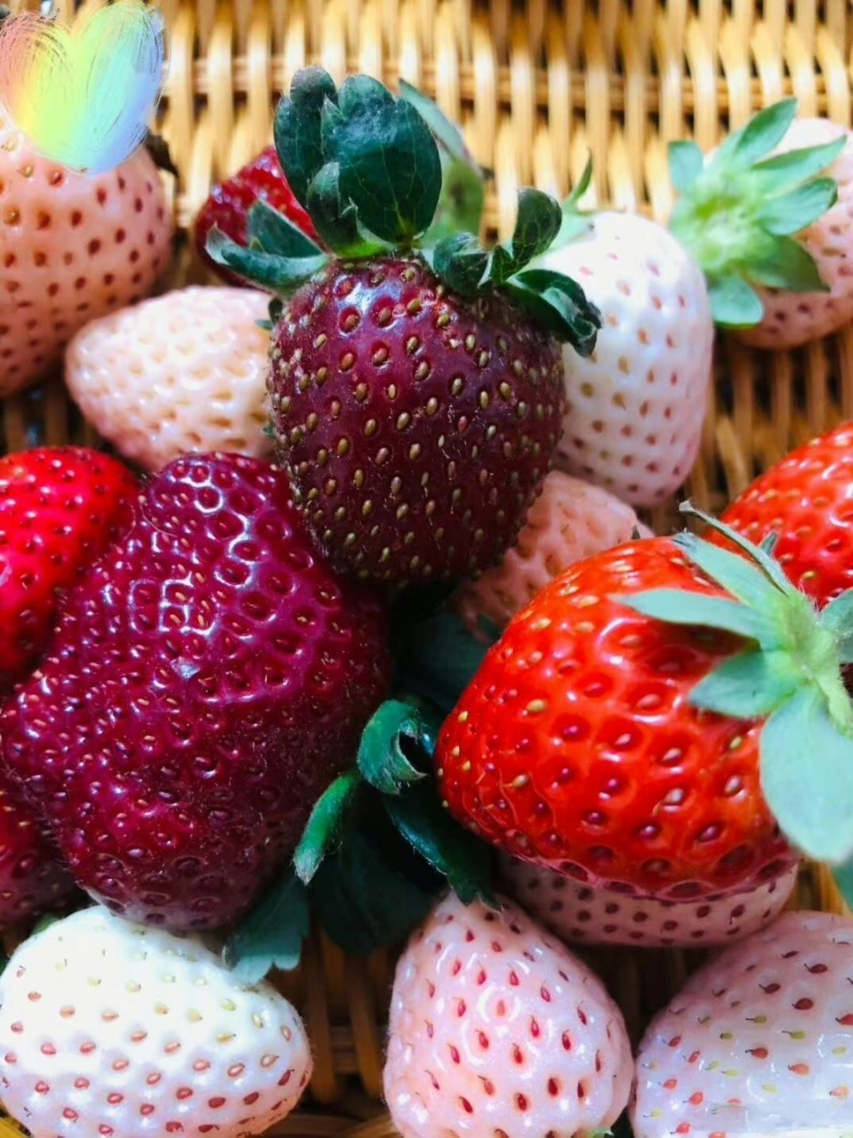 没想到草莓的颜色也是这么丰富,你吃过几种?