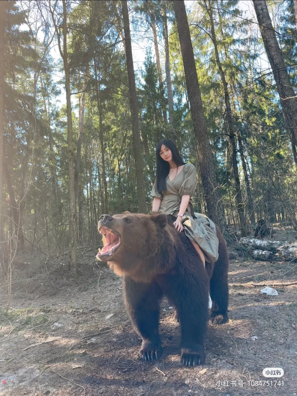 骑马,骑牛,骑龙都可以,就是不能骑熊.真有人骑熊