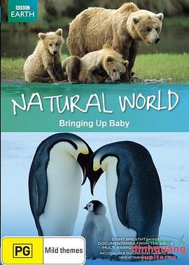 《 BBC 自然世界 2009 动物母性》传奇霸主优先炼魂什么装备