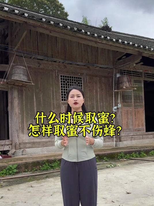 梦见取蜜蜂的蜂蜜(梦见取蜜蜂的蜂蜜什么意思)