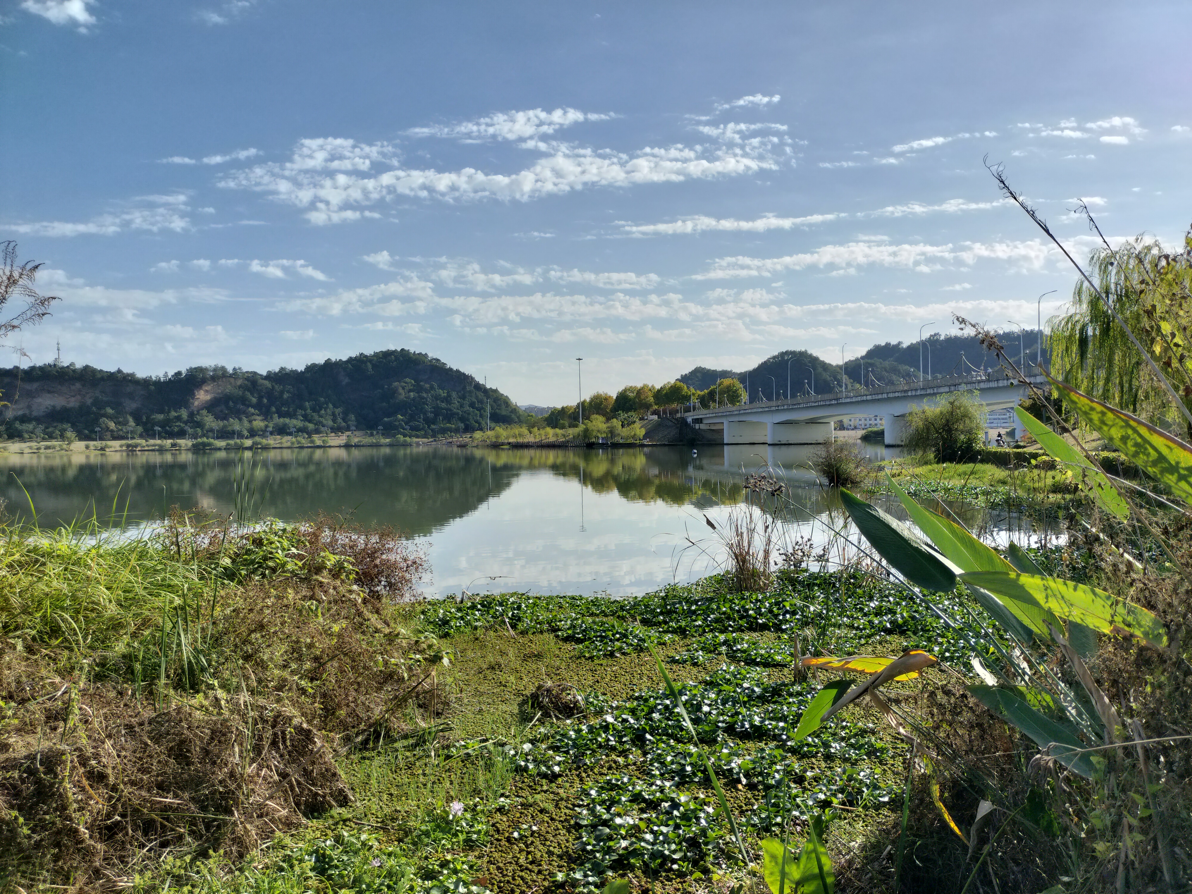 景德镇市昌南湖湿地公园