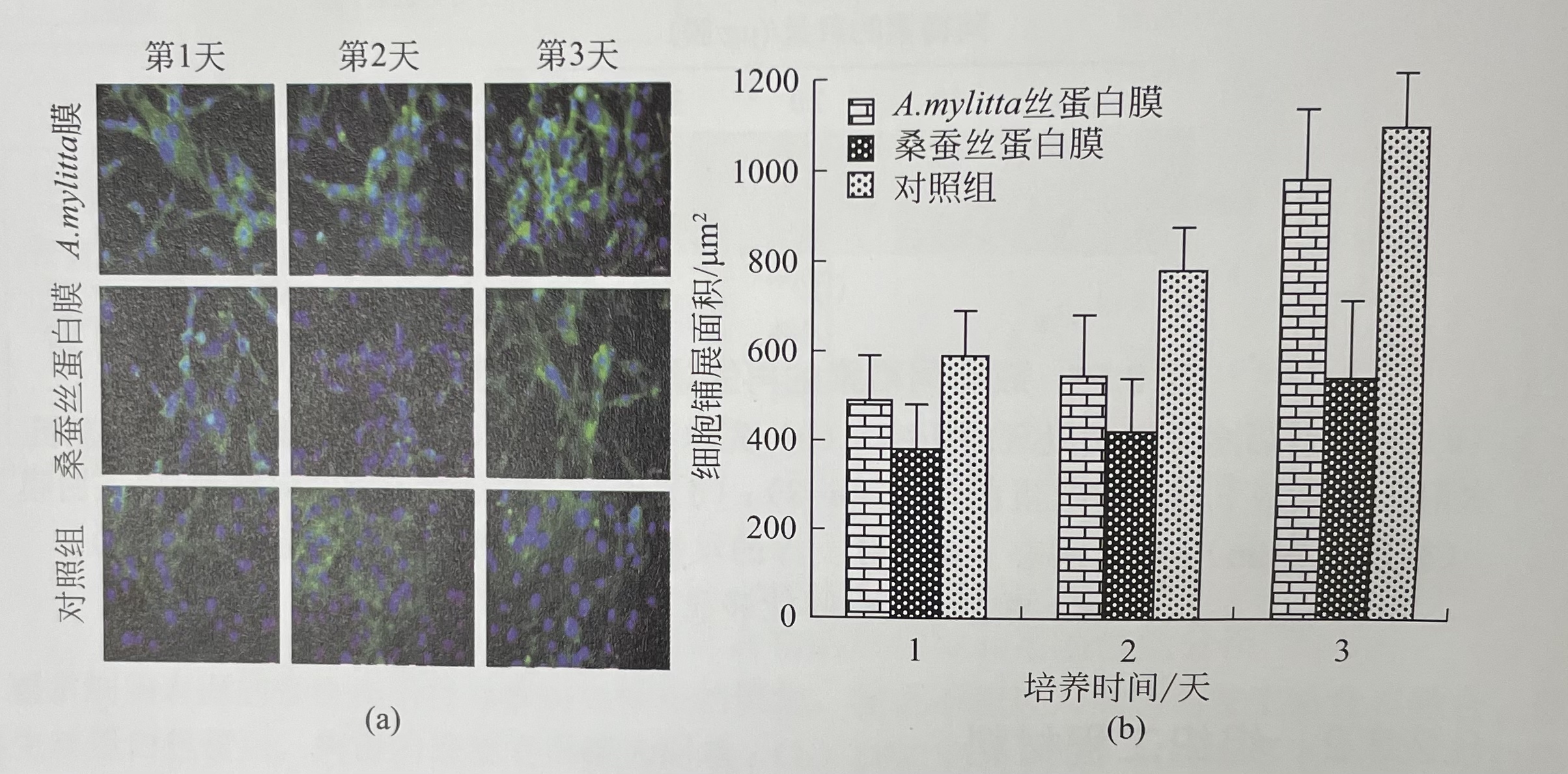 丝蛋白膜的应用篇