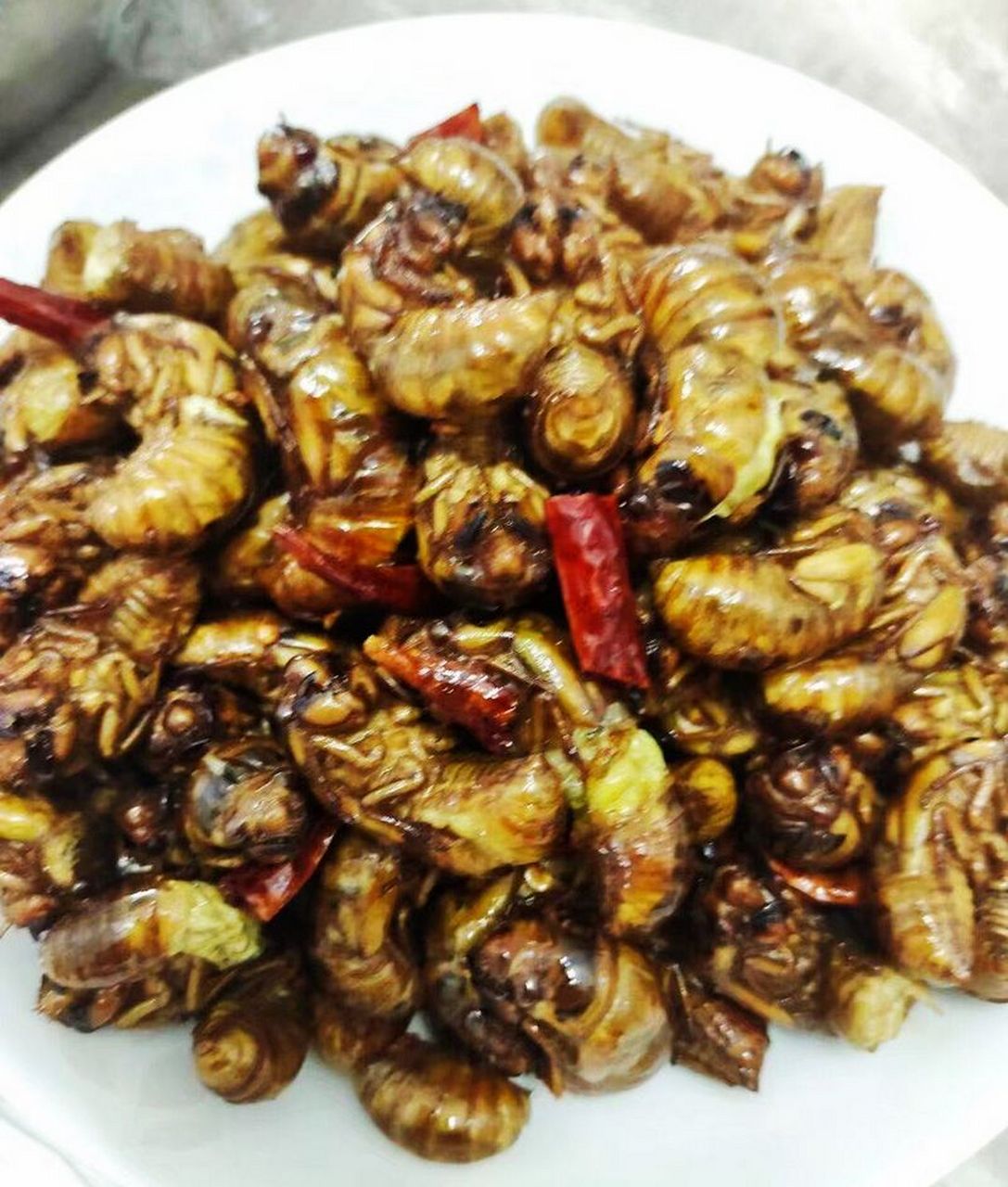 知了猴,一种富有蛋白质和营养的美味,经过多重工序后,搭配麻辣或腊肉
