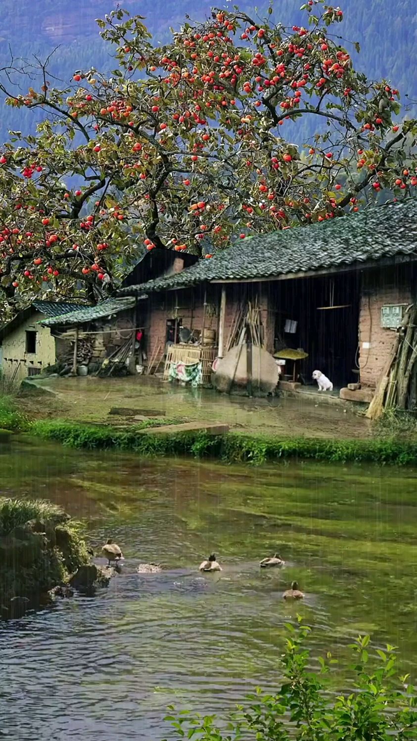 这是我老家农村山沟沟里