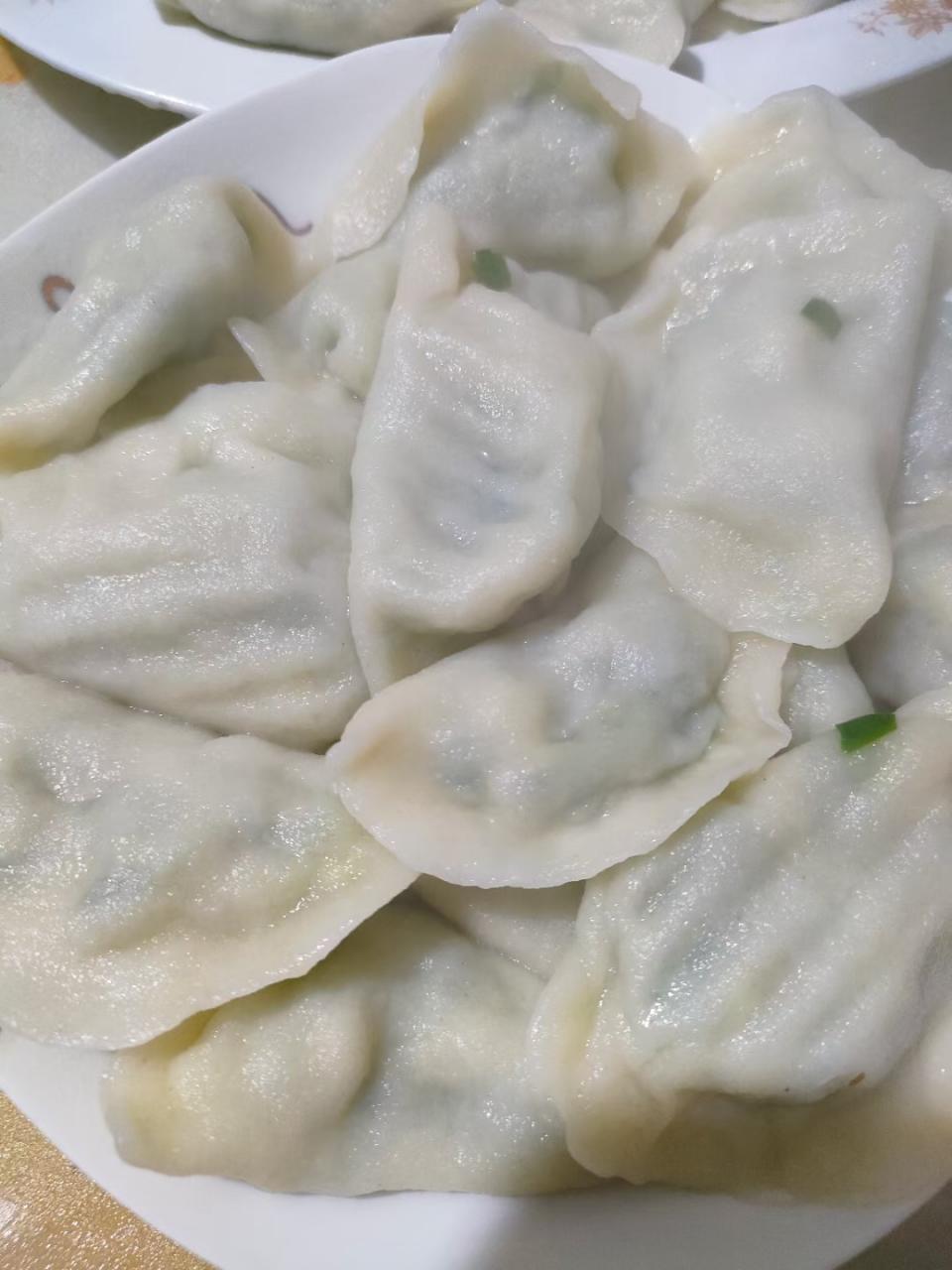 天冷乎乎的,吃个手工饺子暖暖吧[温暖] (茴香肉和韭菜鸡蛋)[悠闲]