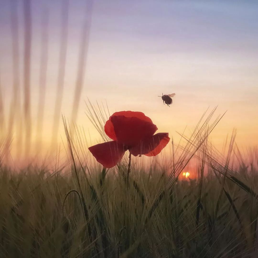 唯美生活图片分享