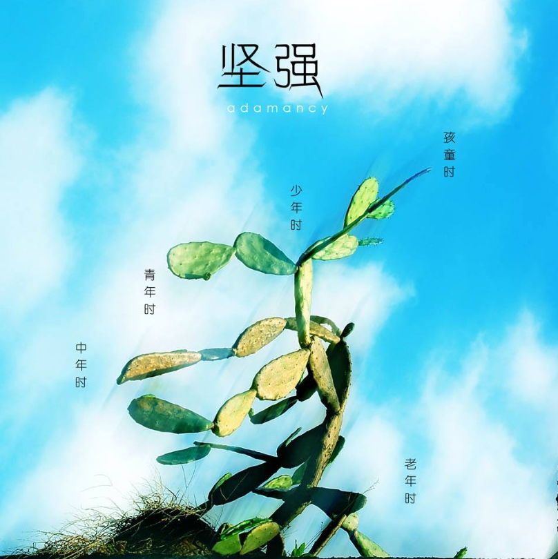 如果不坚强,懦弱给谁看!