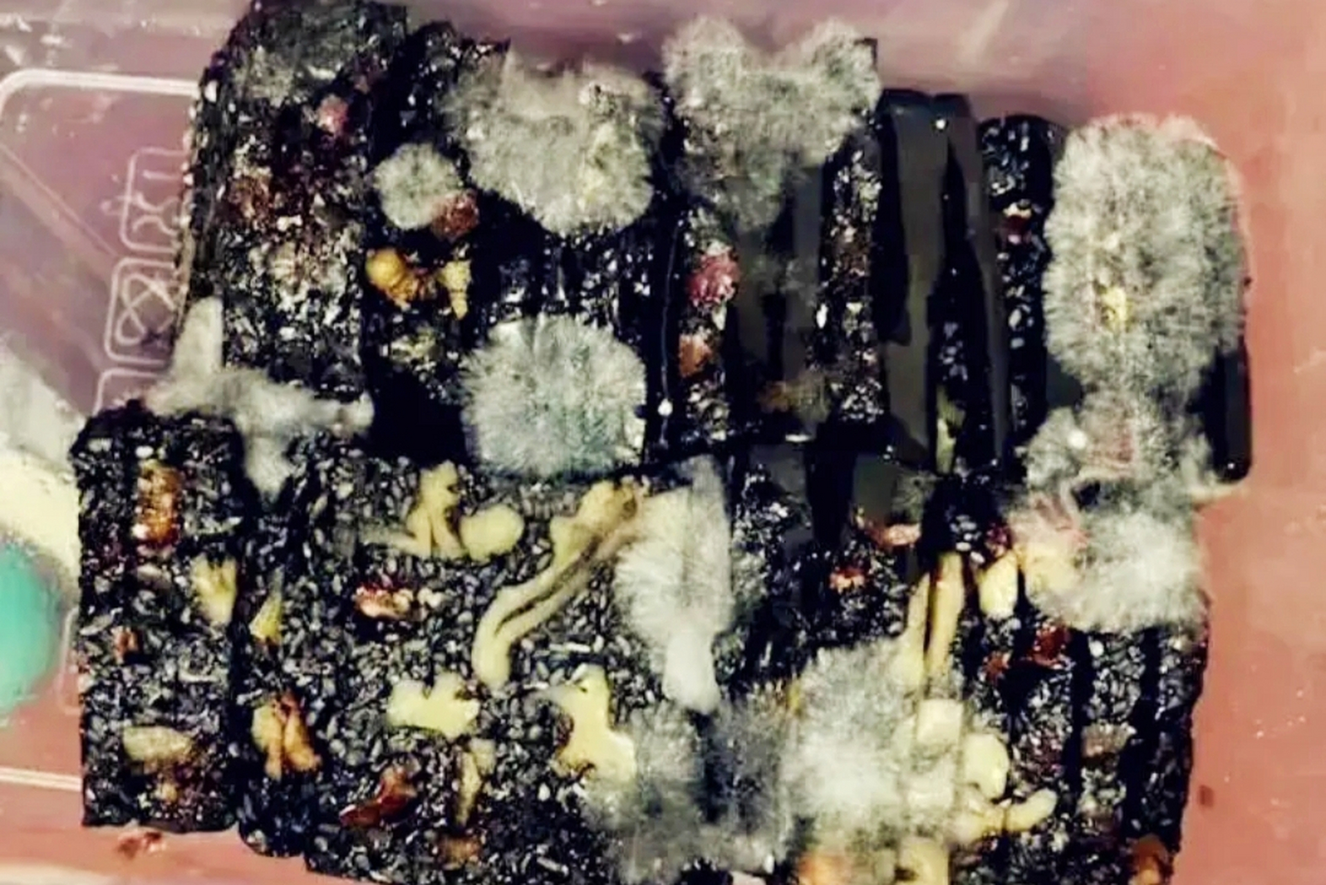 1000多元买的阿胶,一直没舍得吃,结果发霉了[泪奔]