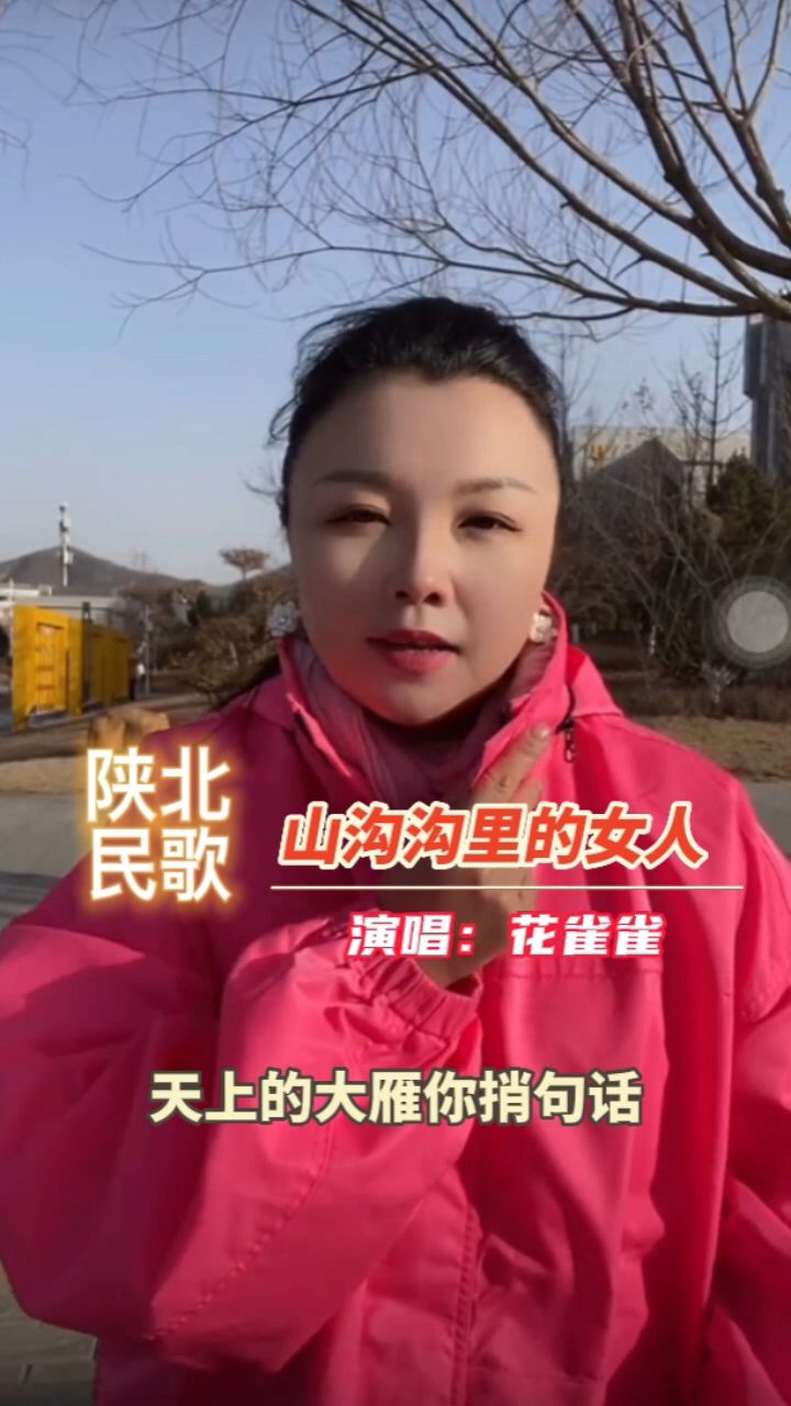 山沟沟里的女人二胡图片