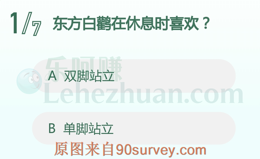 东方白鹳在休息时喜欢单脚站立