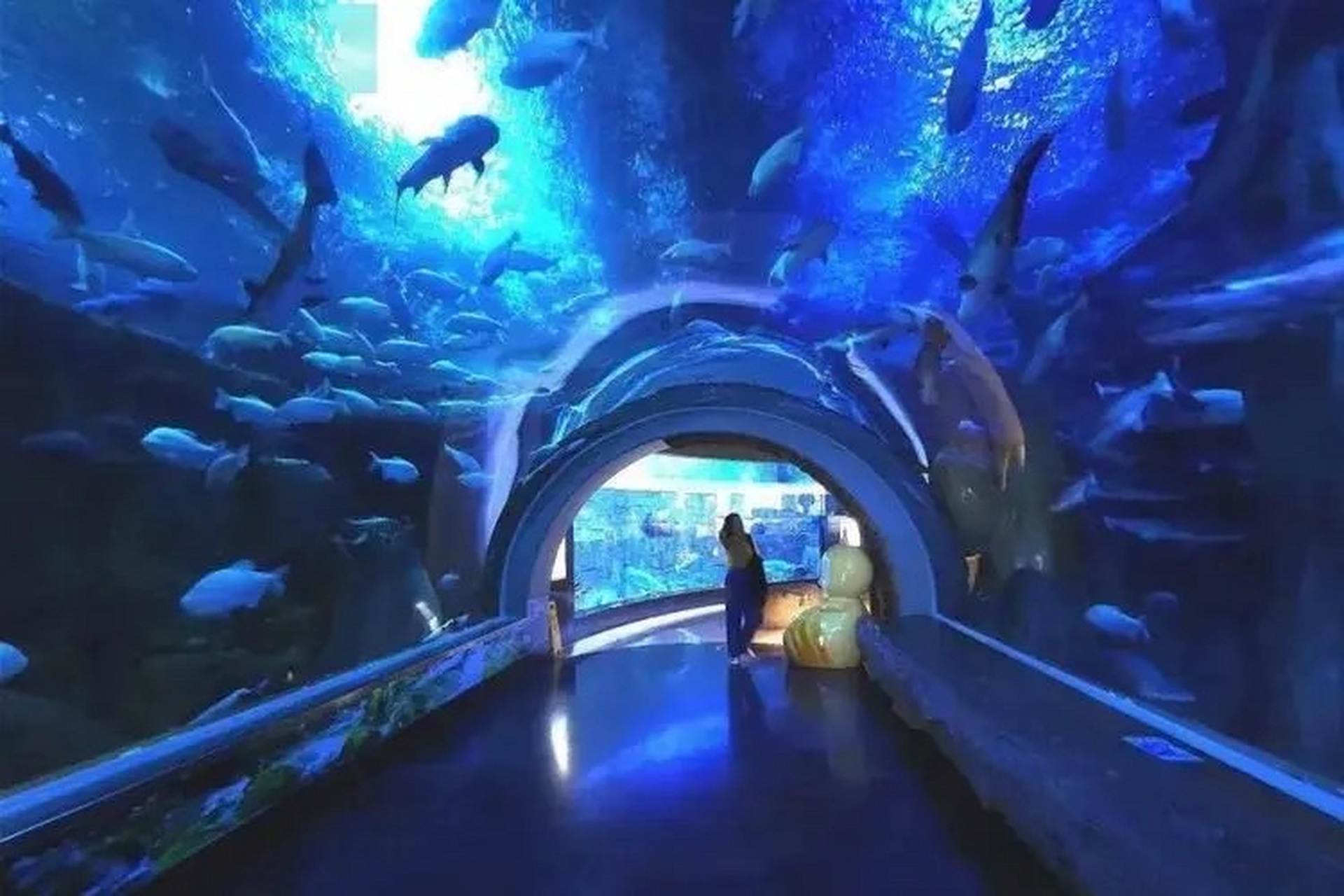 成都蛟龙港·海滨城购物中心总建筑面积27万平米,是由香港蛟龙集团与