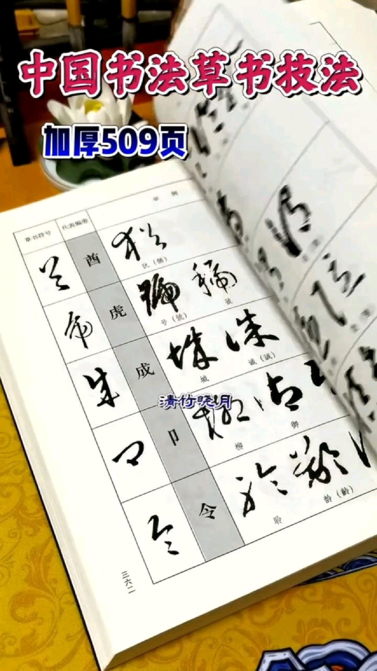 中国书法草书技法,加厚,包含草书偏旁符号,草诀歌,草书近似字辨识