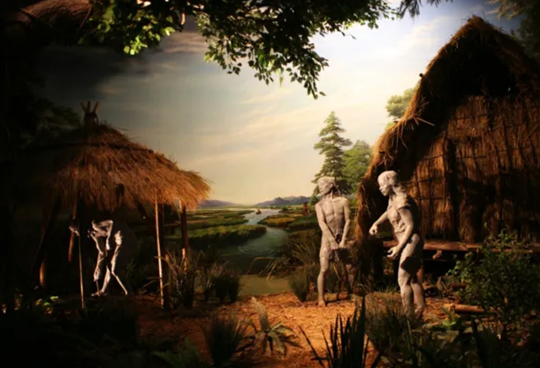 7000年前的河姆渡人,为什么拥有现代人的科技手段?