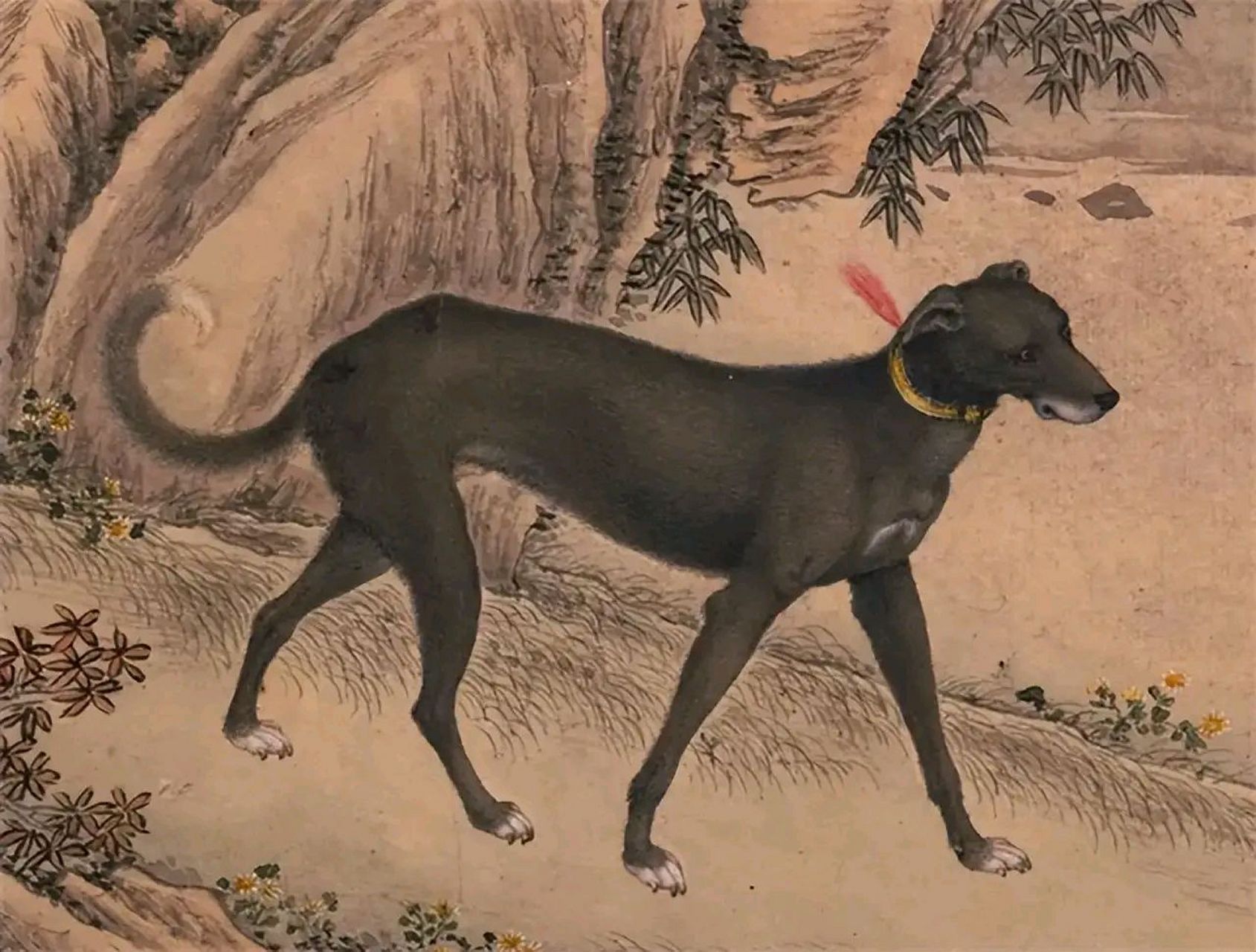 神话故事中,二郎神的哮天犬其实是真实存在的,而且还是中国土生土长的