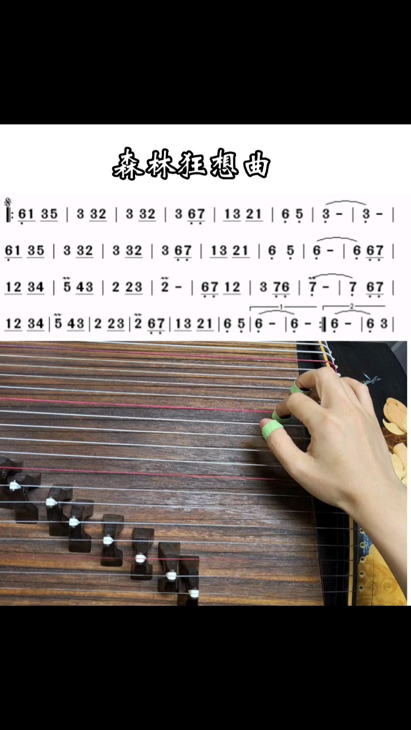 古筝练习曲森林狂想曲古筝零基础入门古筝成人线上学古筝