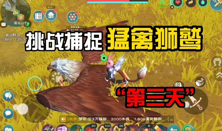 创造与魔法狮鹫的位置