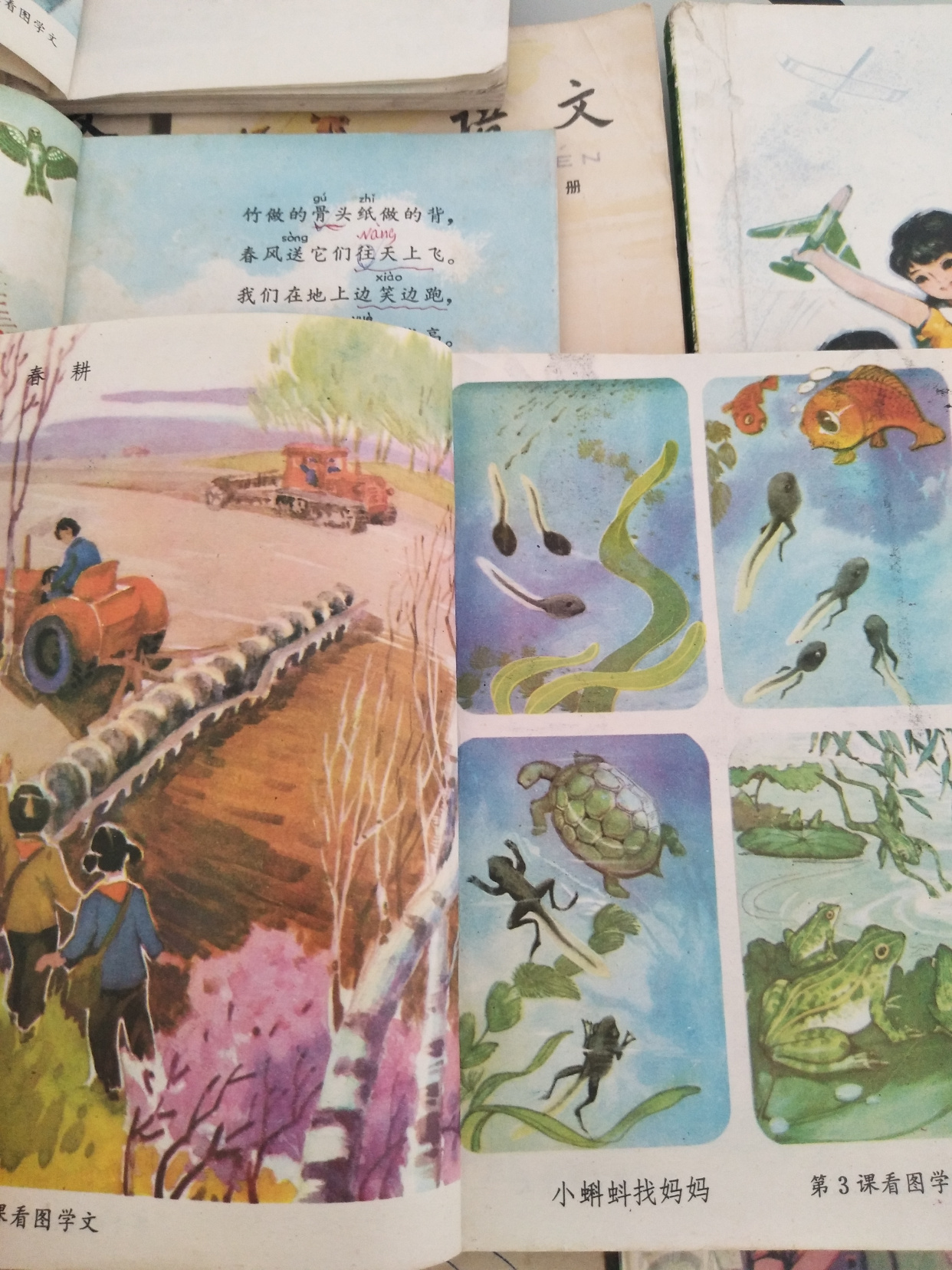 70后小学五年制语文课本