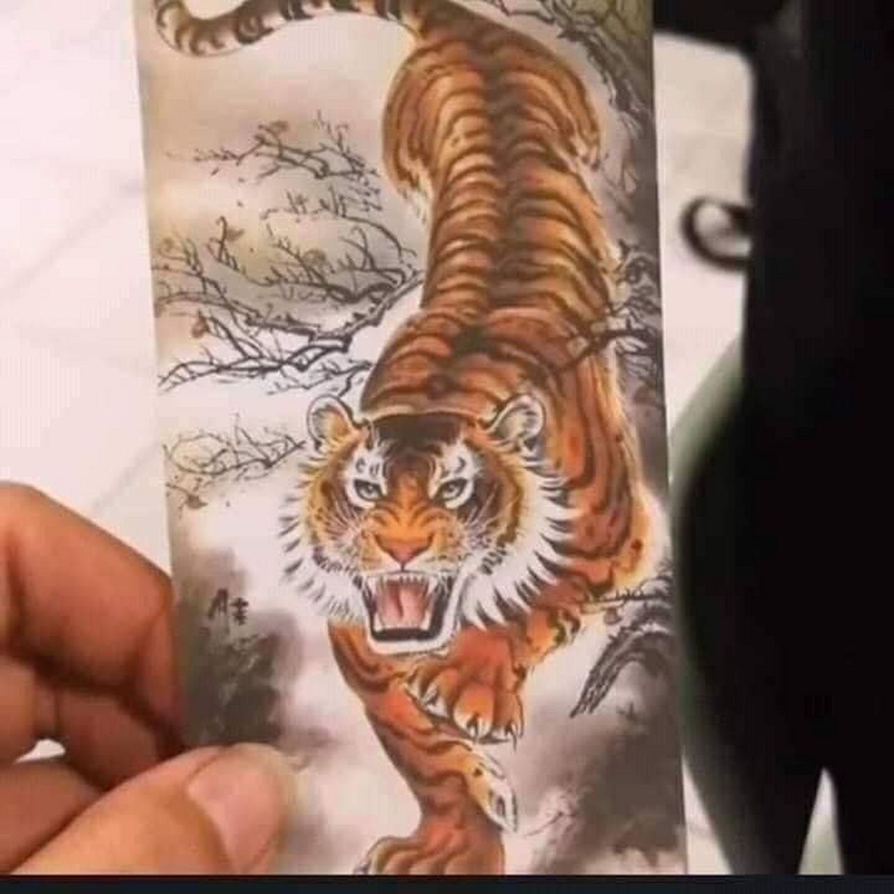 纹身前:老板我要纹身就这个猛虎下山 纹身后:特么的果然是"萌"虎下山.