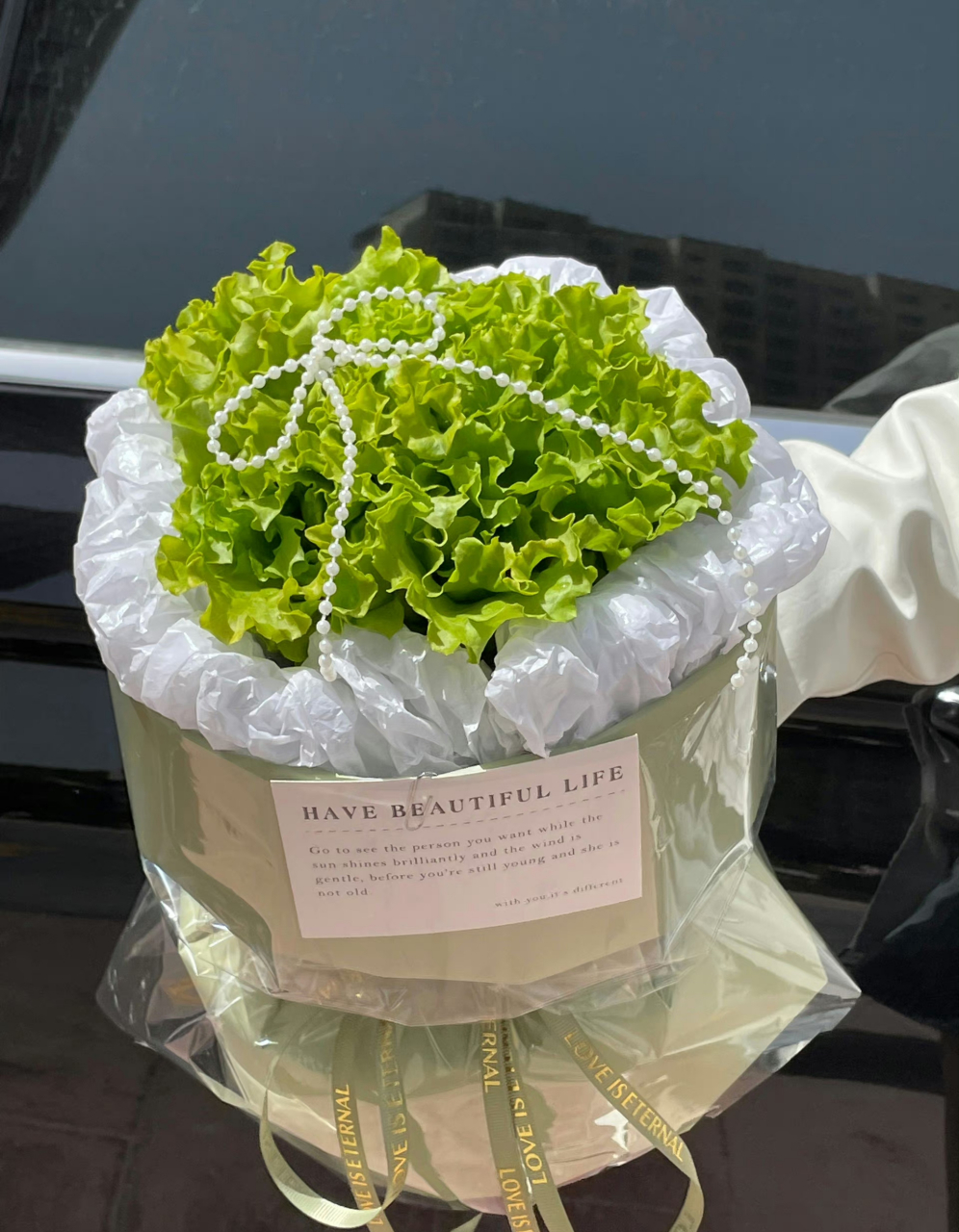 8月8转发这株生菜(财)花02 今年一定发发发!