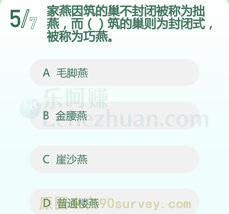 金腰燕筑的巢则为封闭式被称为巧燕