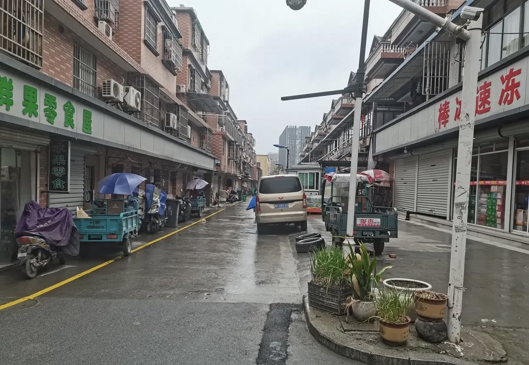 正月初一,杭州九堡格畈小区北宛,路上一辆车也没有,行人也没有,静到