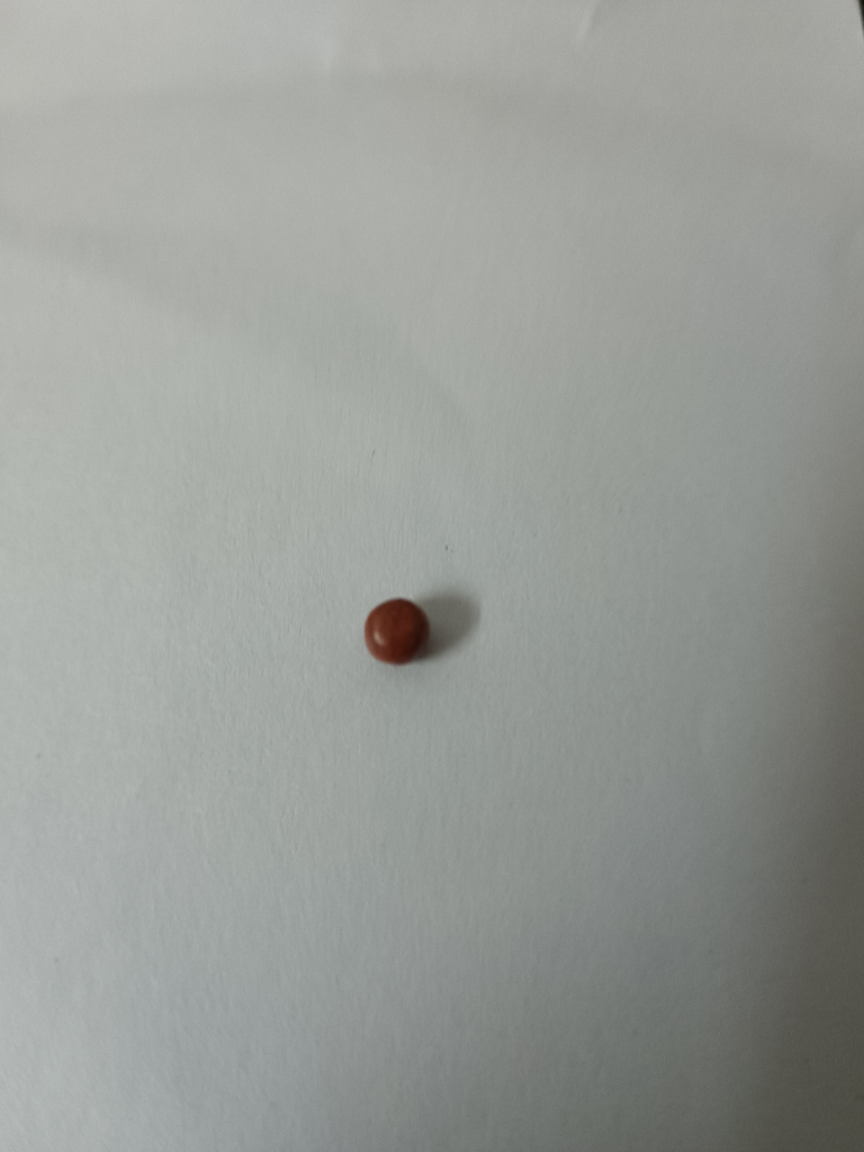 云南白药藏着一颗红色的丹药:  保险子1粒  千万别扔了.