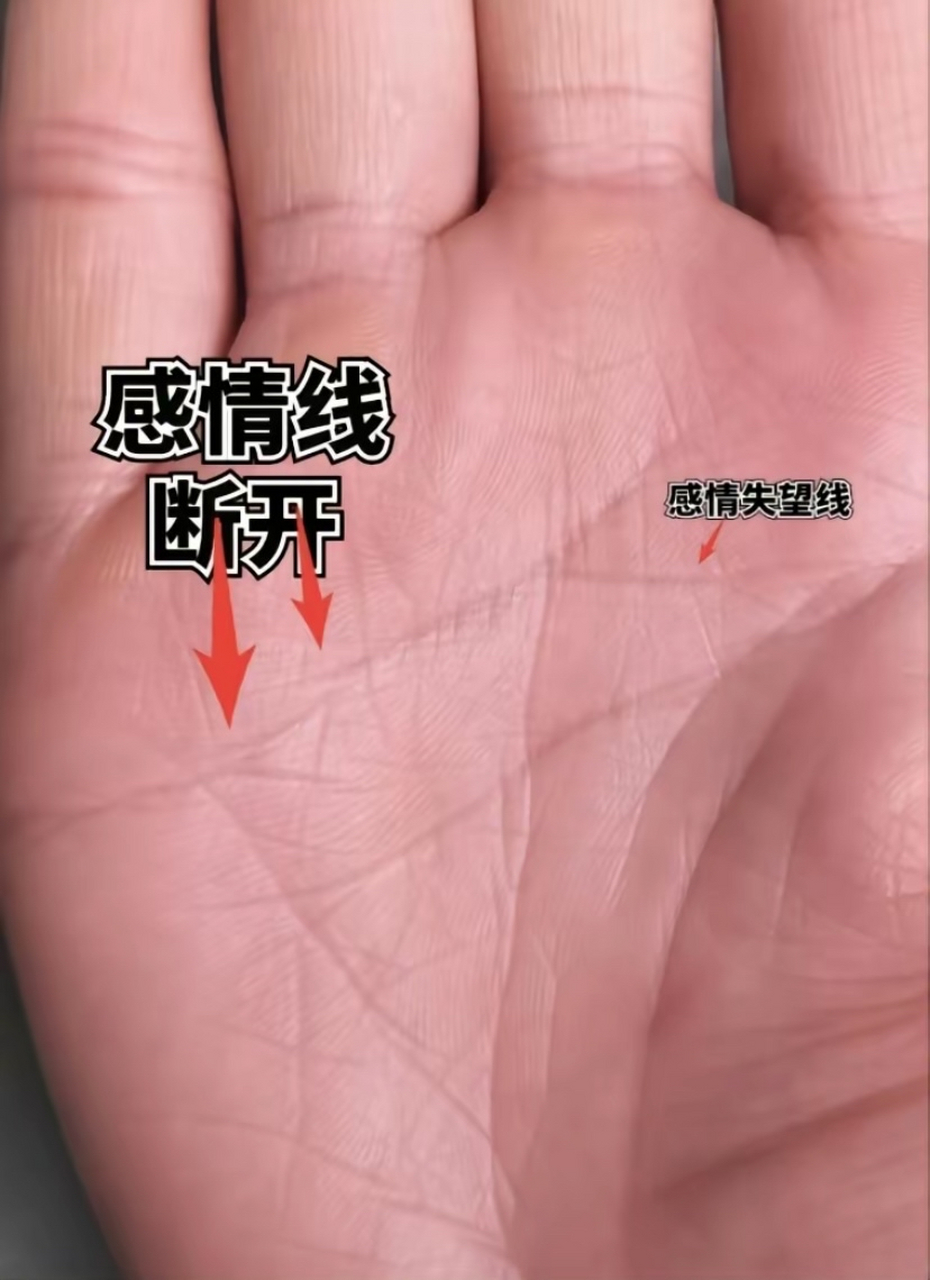 感情线断开的人就一定会离婚吗?  不一定.感情线断了,代表感情有波折.