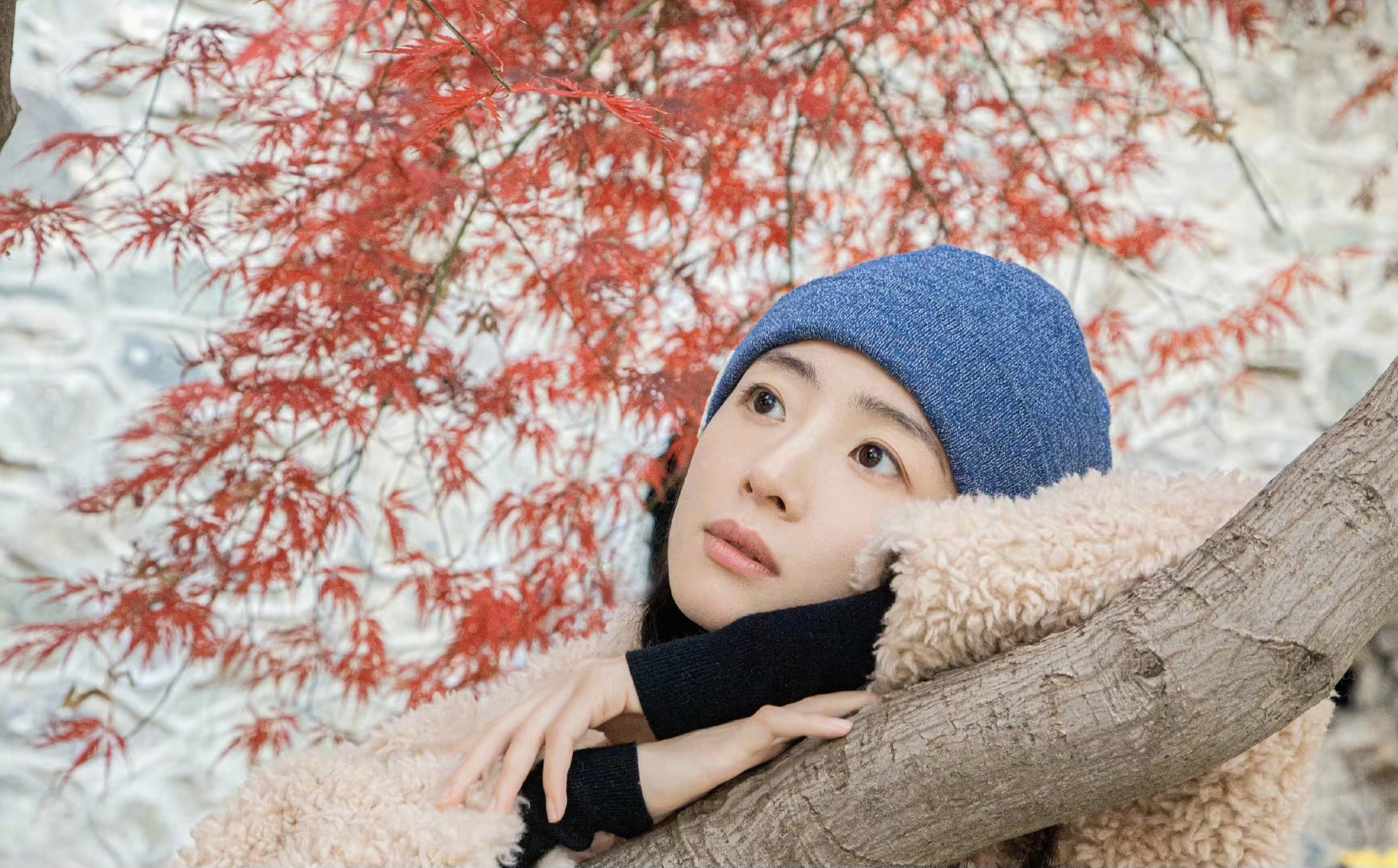 感觉胡冰卿跟董洁是同一类型的长相 有些角度真的好像