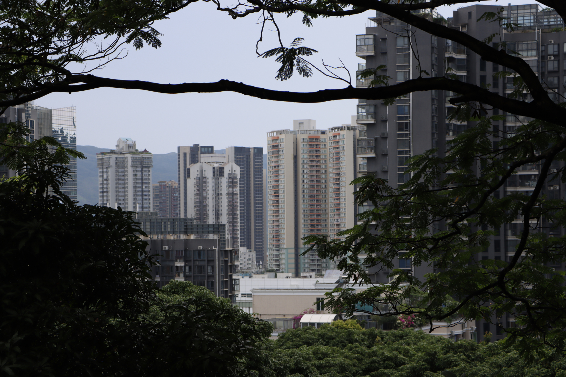 深圳沙头角海山公园摄影