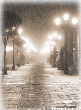 初冬雨夜的图片图片
