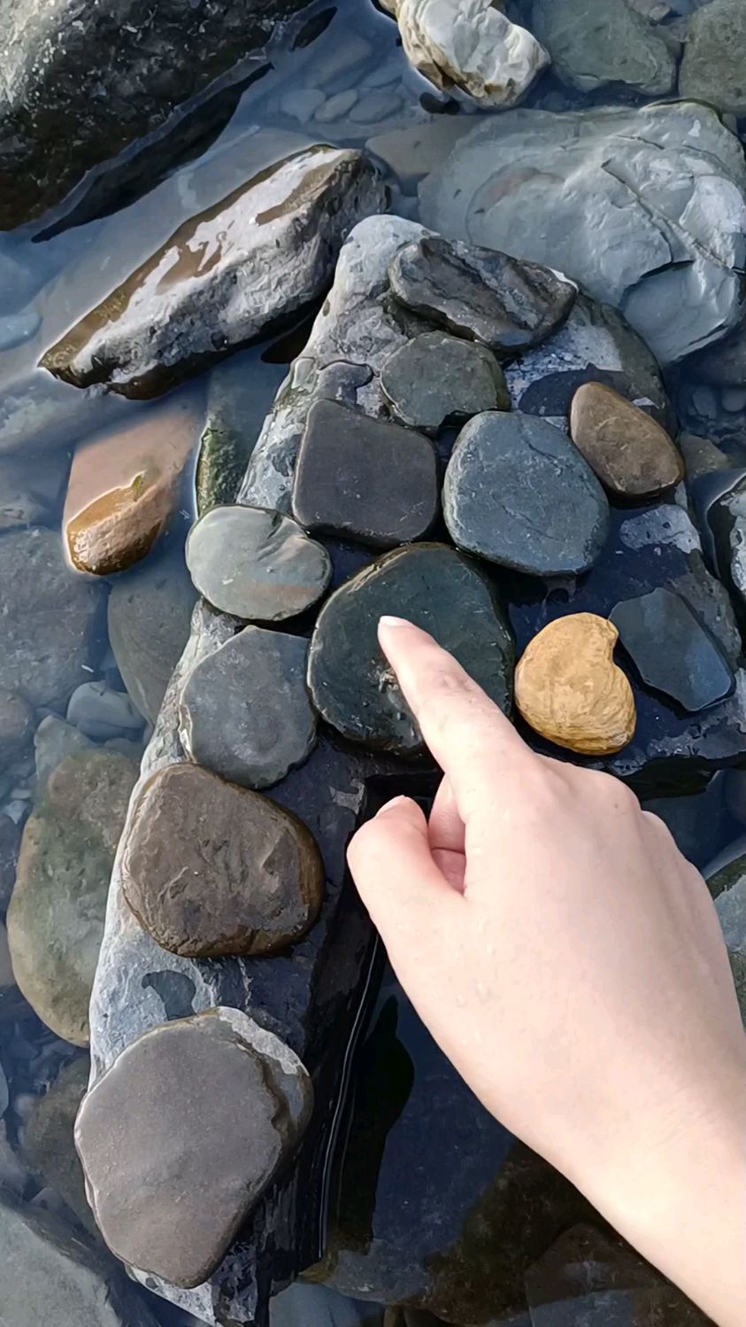 收集一些石头,来打水漂