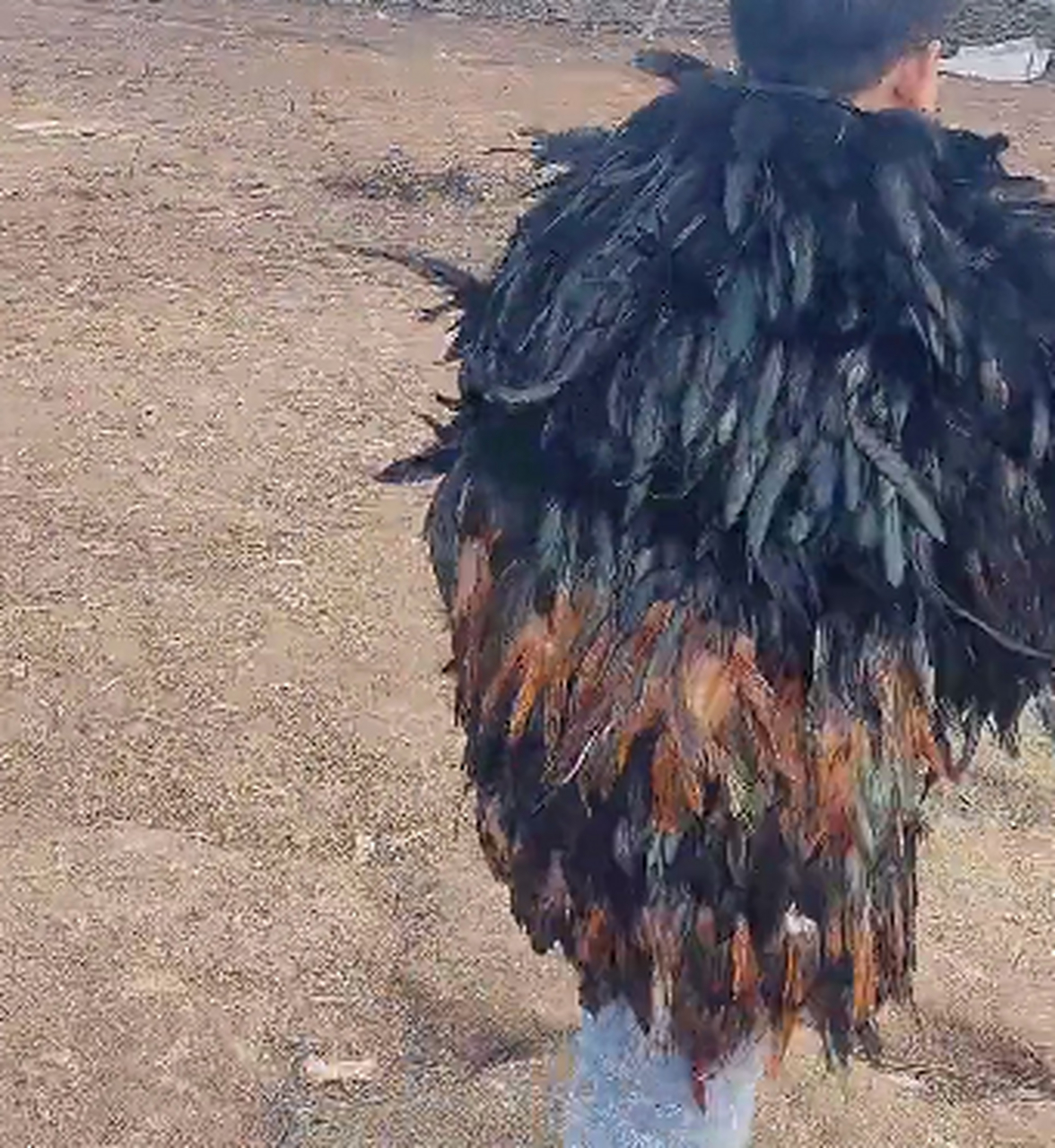 做鸡毛啊,真是鸡毛做的