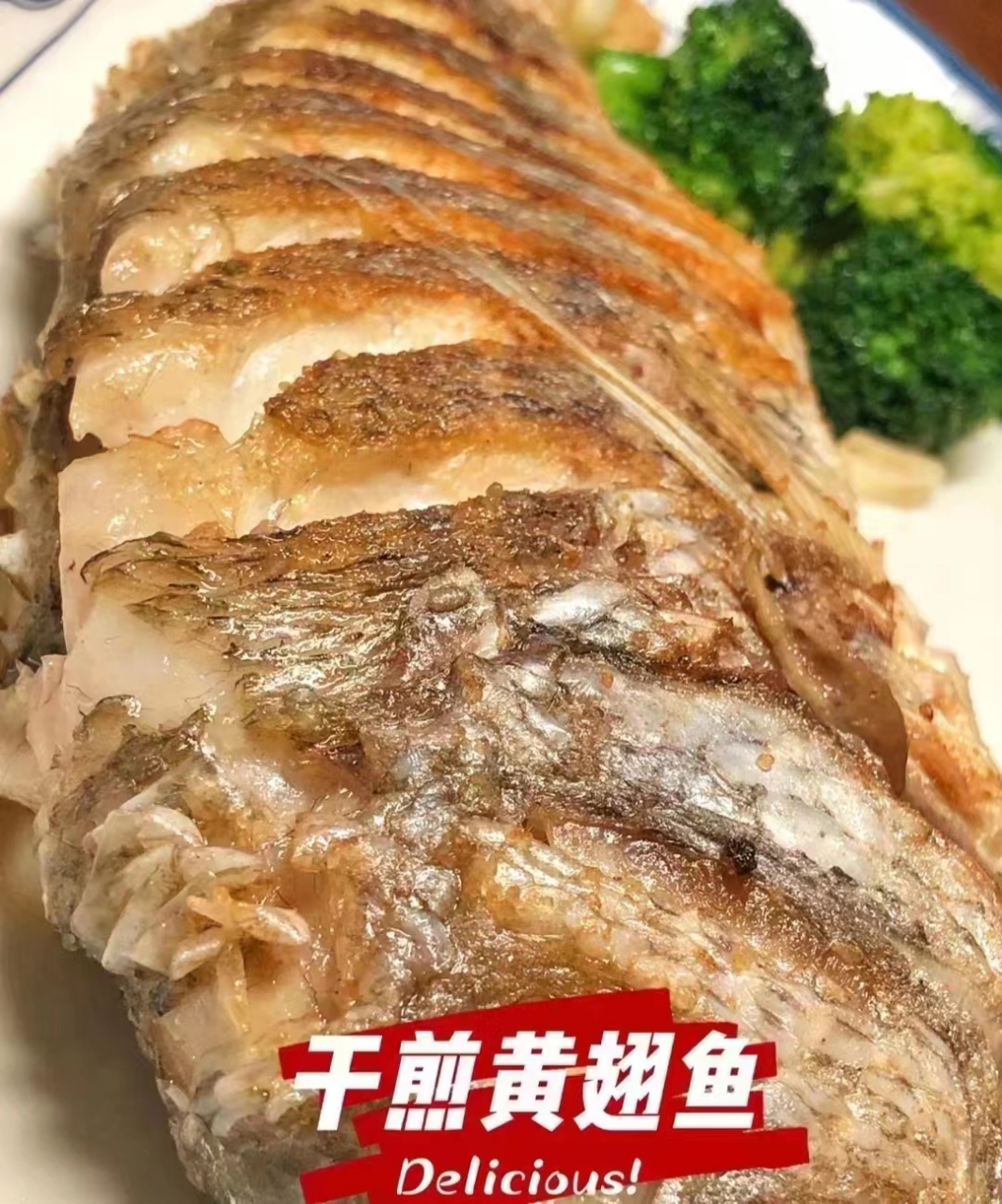 海钓黄翅鱼,多肉无小刺,超级高营养 非常营养又好吃的深海鱼!