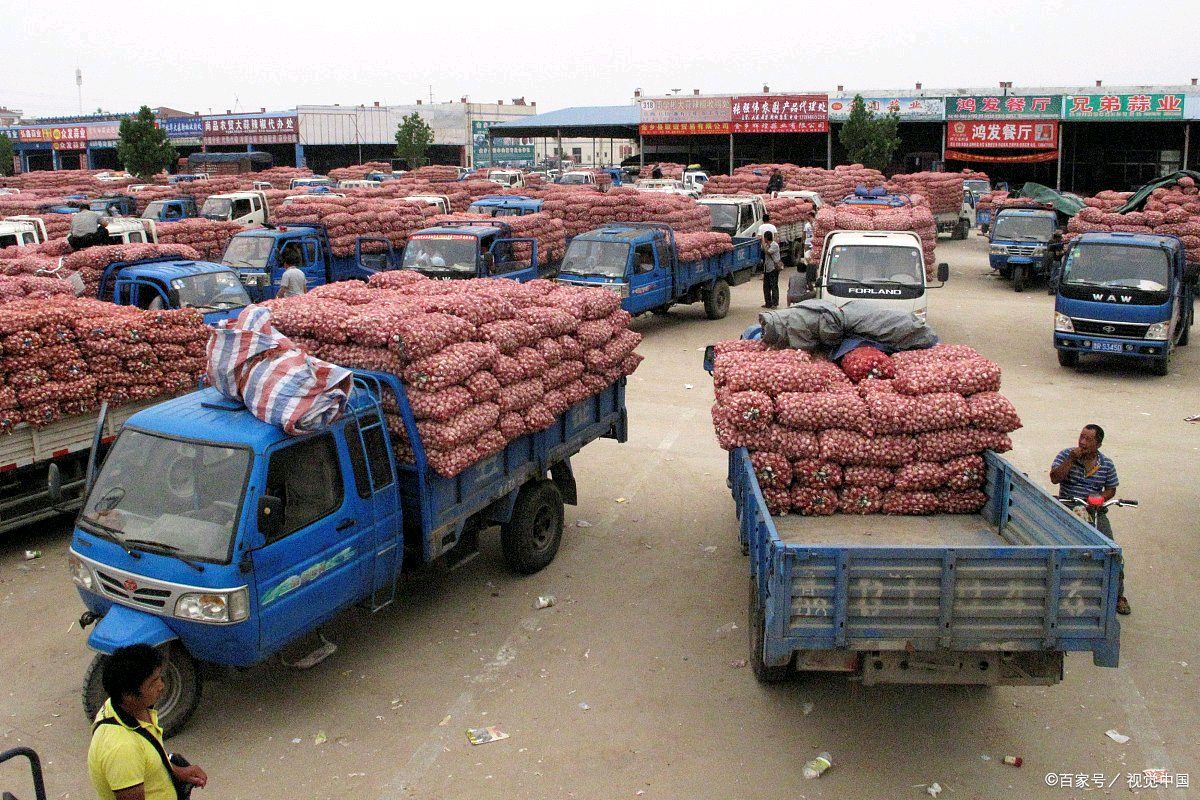 大蒜蒜片 - 热门商品专区