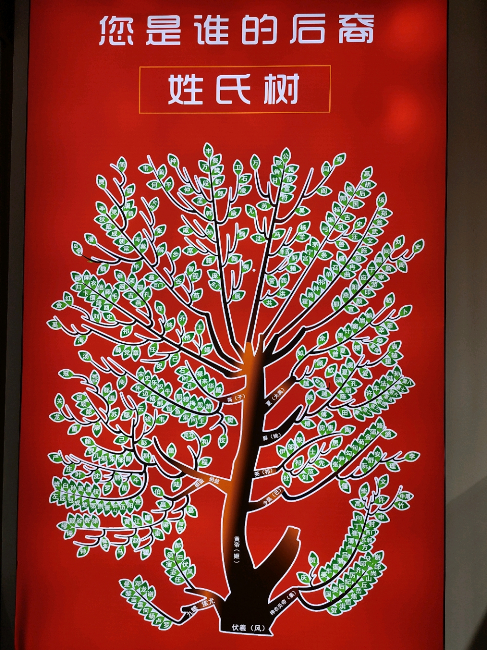 在花果山风景区拍到的姓氏树,专门找到了自己的姓氏对照了一下.