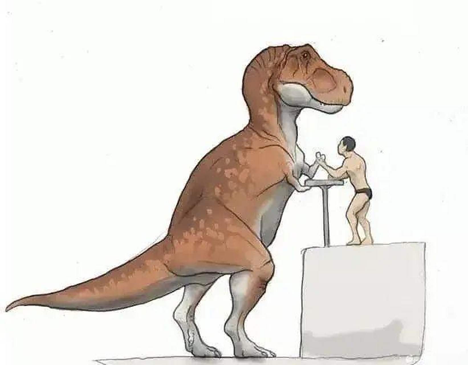 如果霸王龙和人类掰手腕的话,谁赢[滑稽]