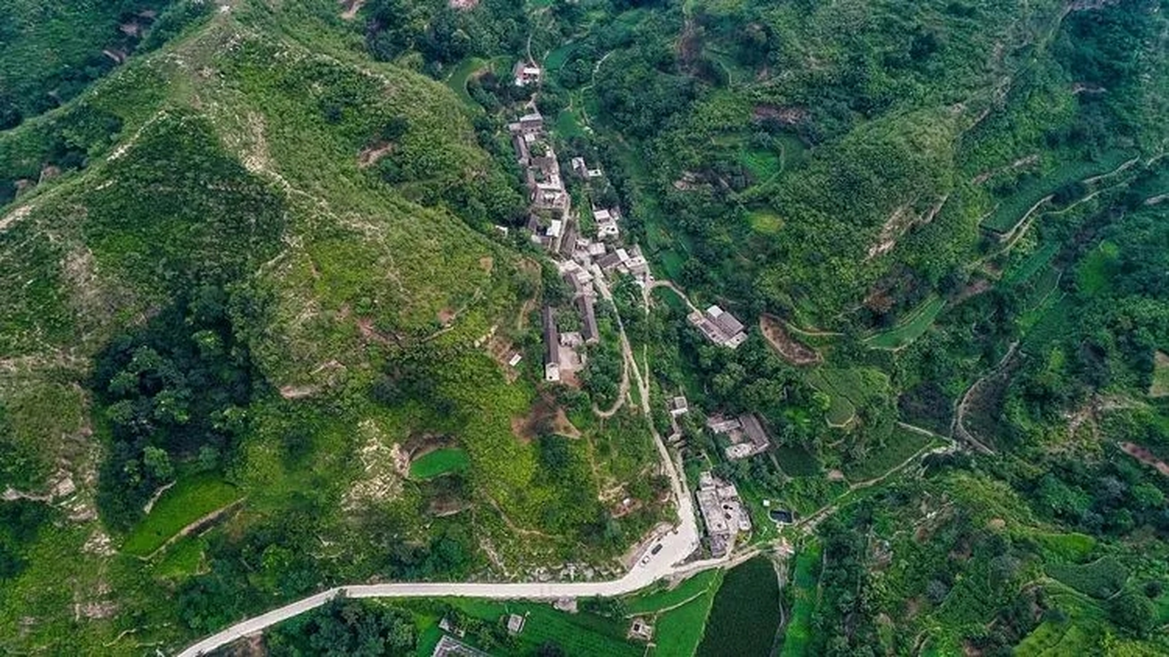夏日生活创作季# 在鹤壁市淇县有一个名叫大石岩的山村,这里绿树骋耨