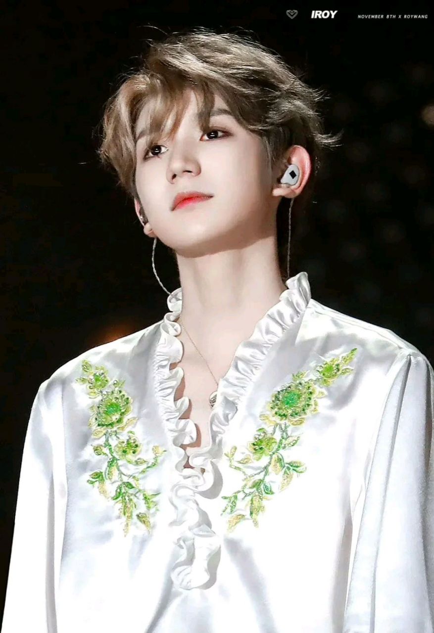 王俊凯,重庆九龙坡区人,毕业于北京电影学院,今年24岁; 王源,重庆市