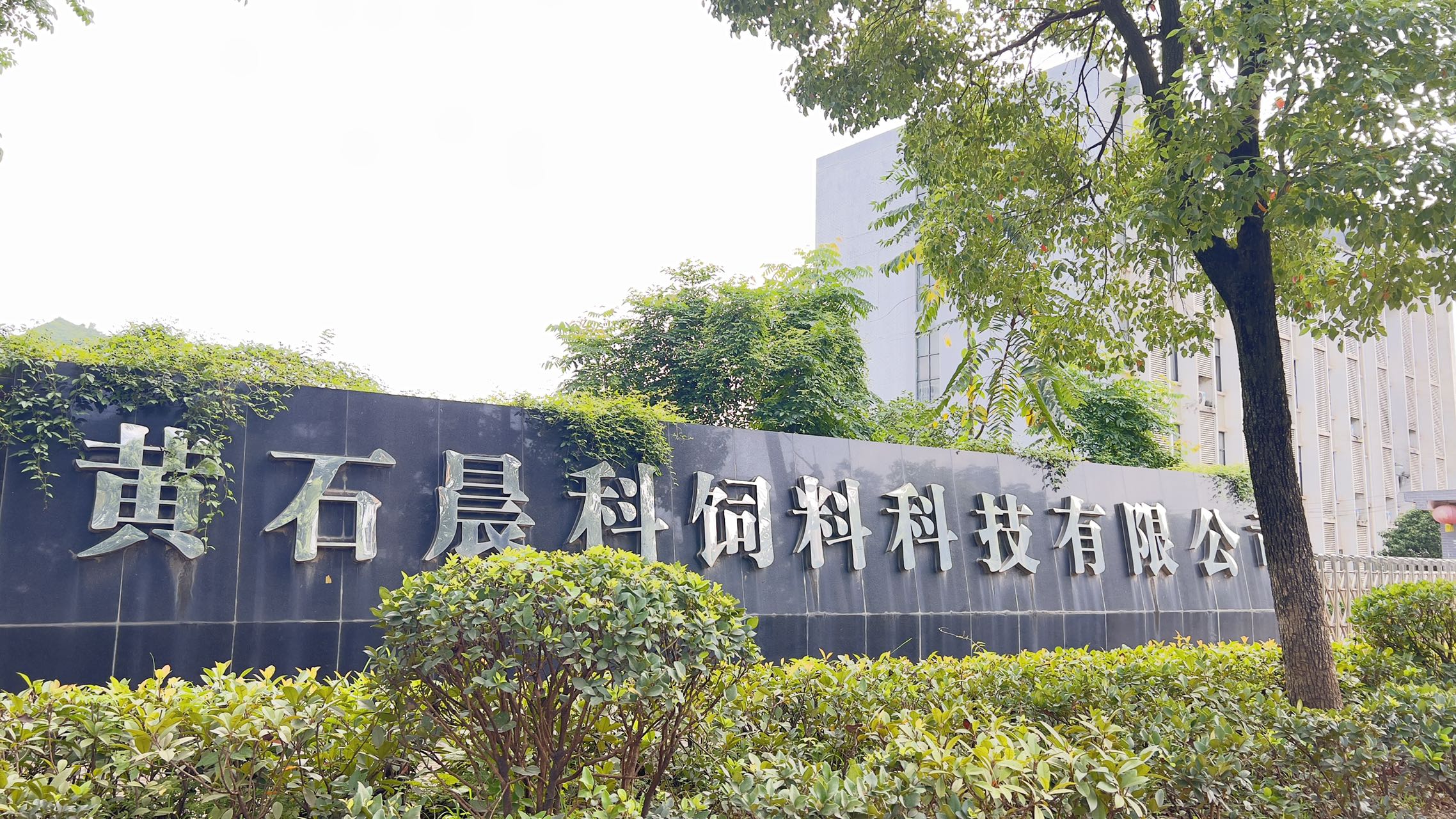 黄石工厂网站优化公司 baijiahao.baidu.com