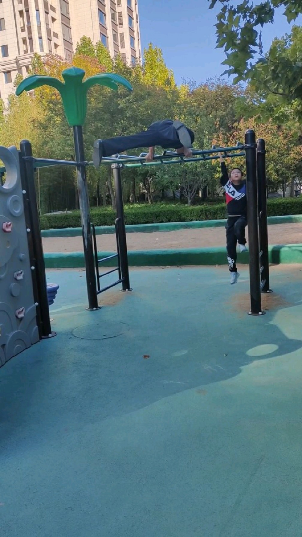 户外健身 云梯组合