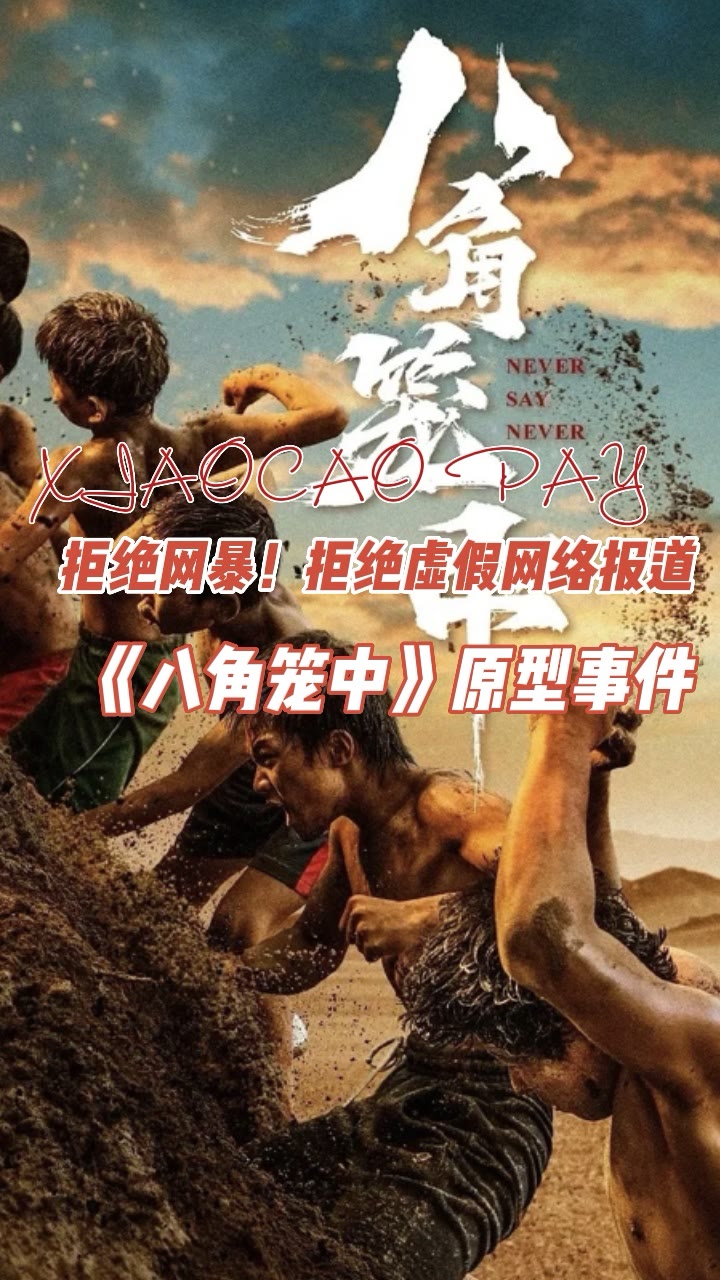 电影八角笼中观后感