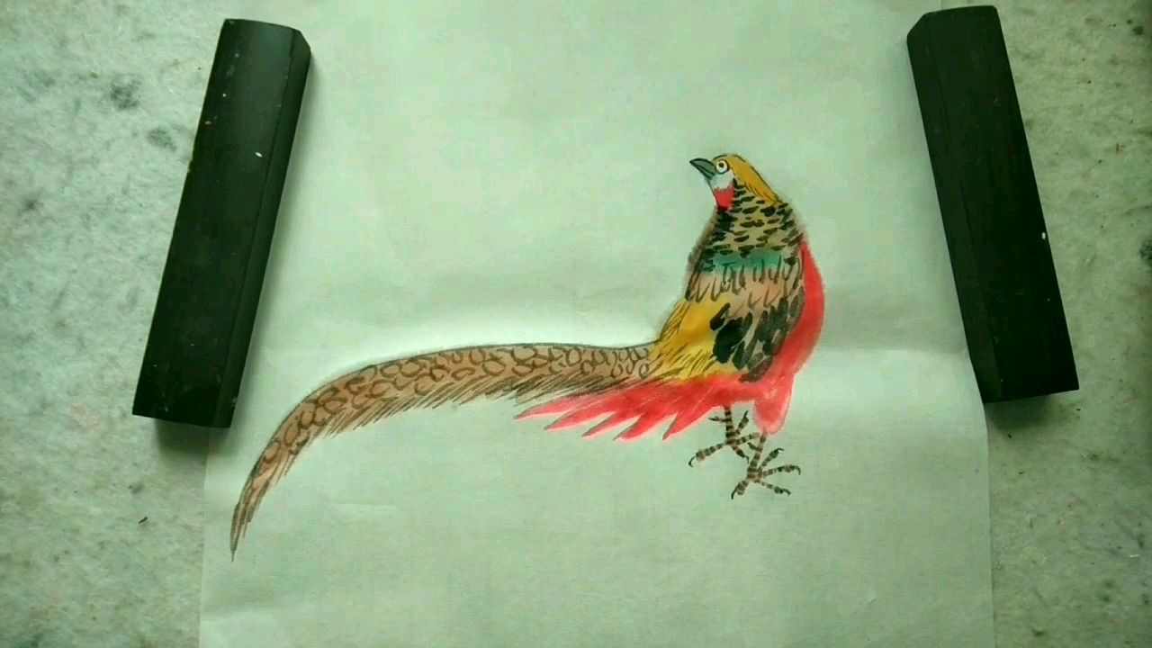 花鸟画348,红腹锦鸡画法,从眼睛起笔画!