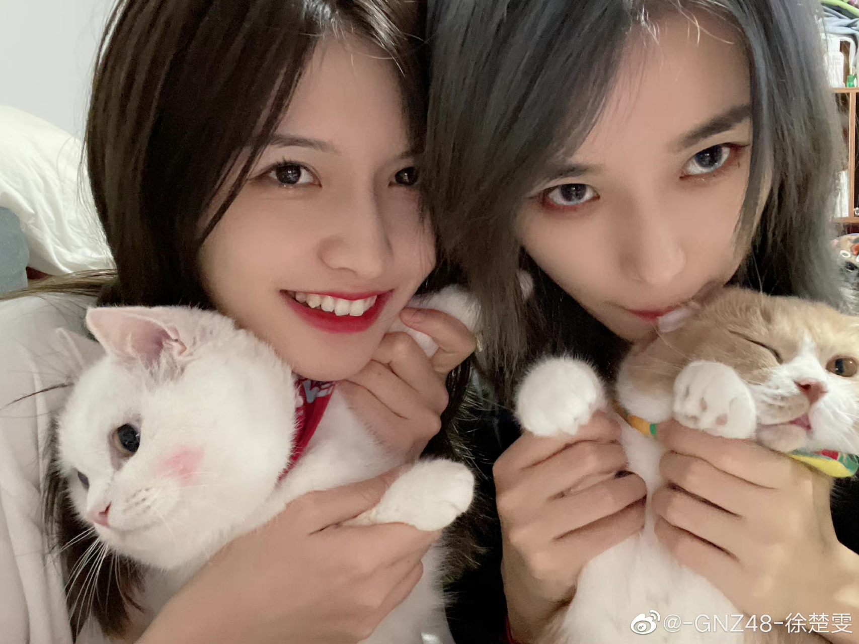 徐楚雯和她的猫#徐楚雯#叶舒淇