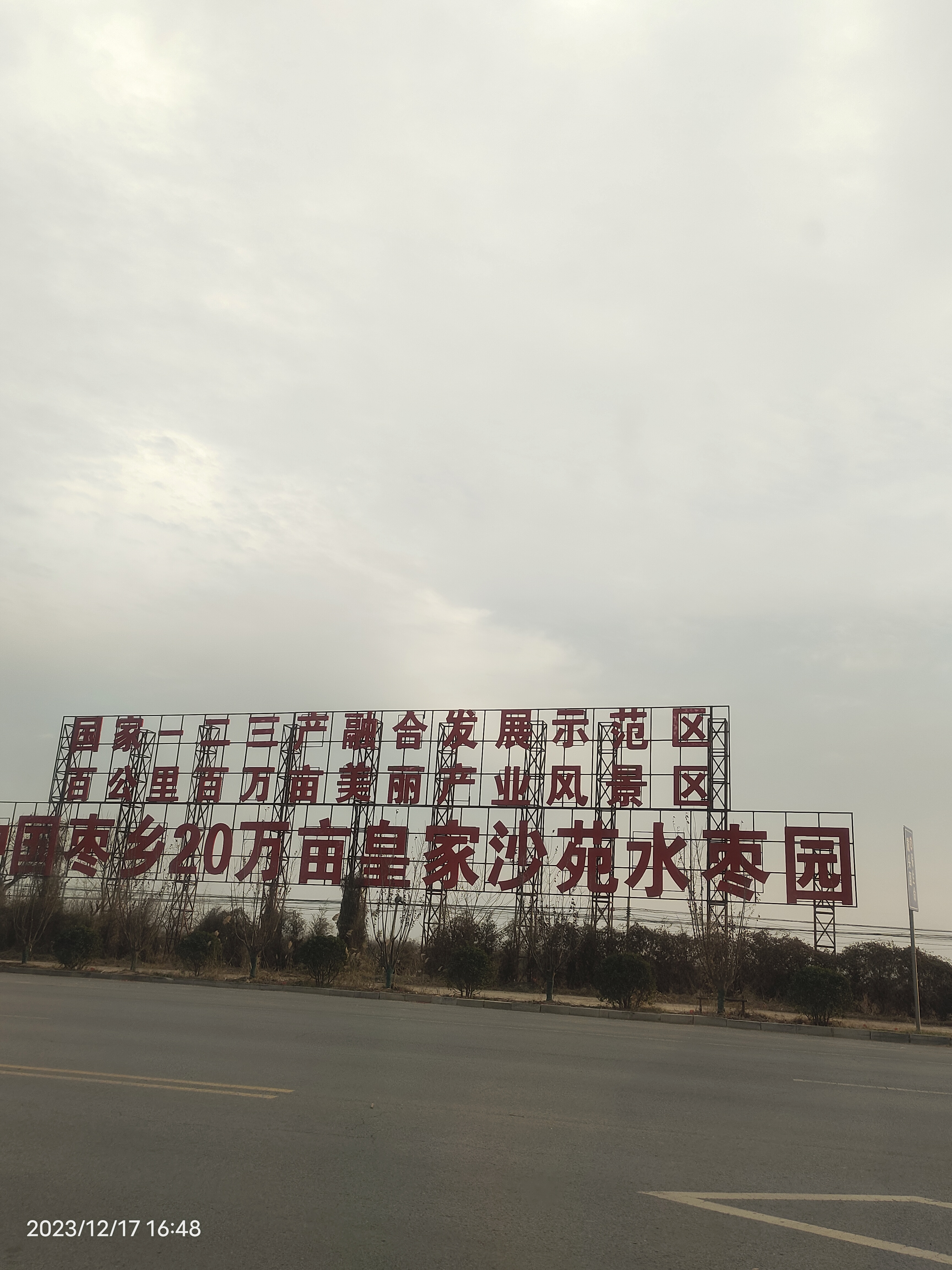 大荔沙苑印象