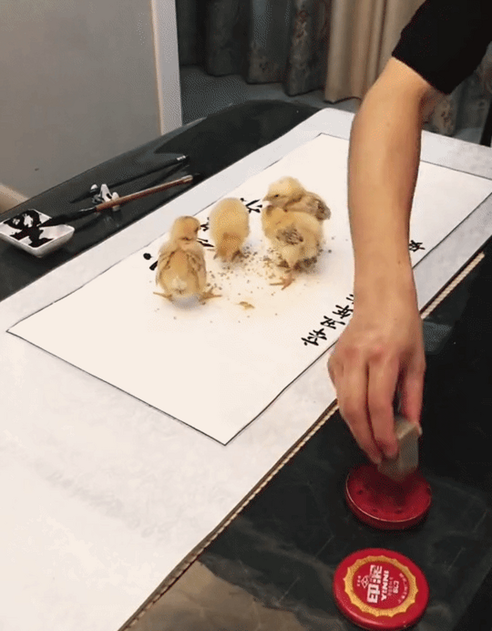 神笔马良之小鸡啄米图