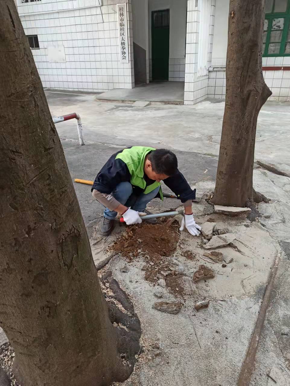 桂林学校除四害白蚁防治的方法有哪些