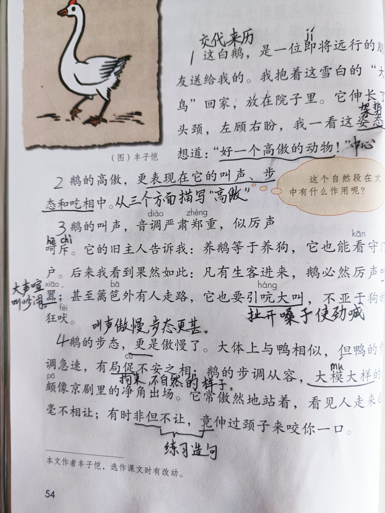 四下《白鹅》预习批注