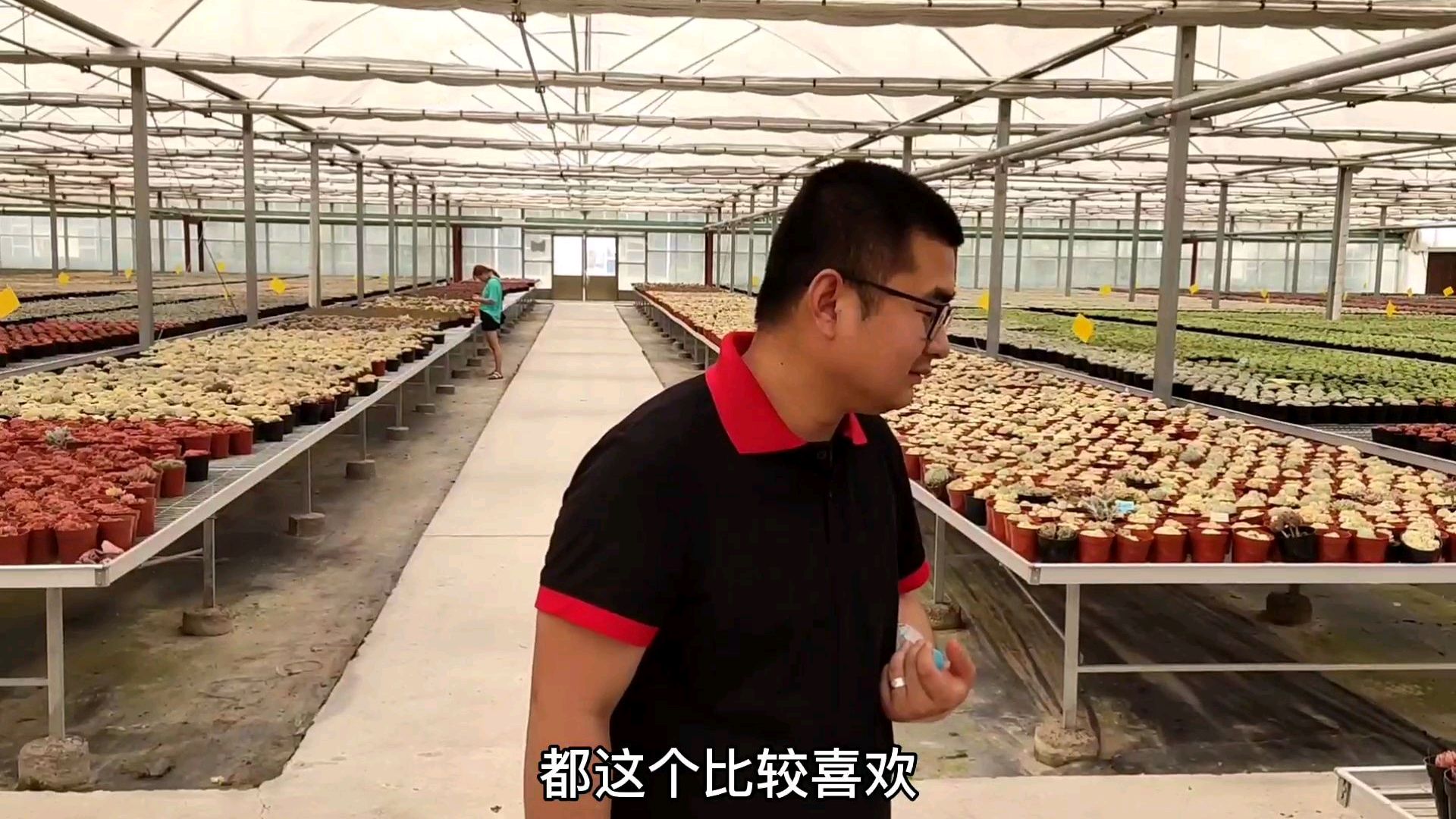 来全国最大的多肉种植基地参观,挑花了眼,大家给出出主意